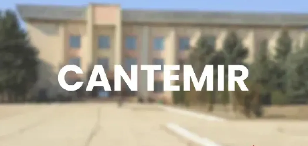 PORTI CANTEMIR